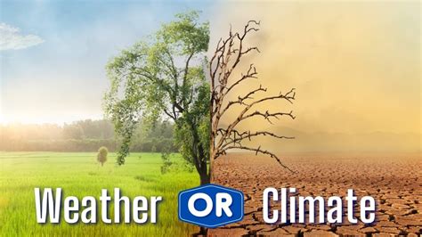 Do You Know The Difference Between Weather And Climate Quizzes Cbc