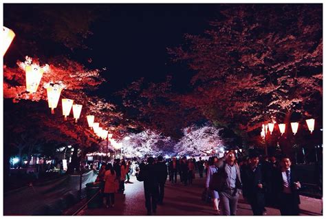 Hanami Cherry Blossom Festival In Japan — Places In Pixel