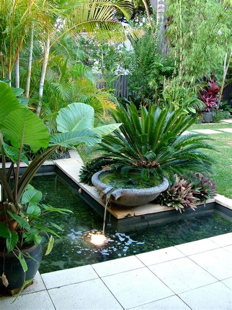 Nedlands Tropical Garden Cultivart Landscape Design