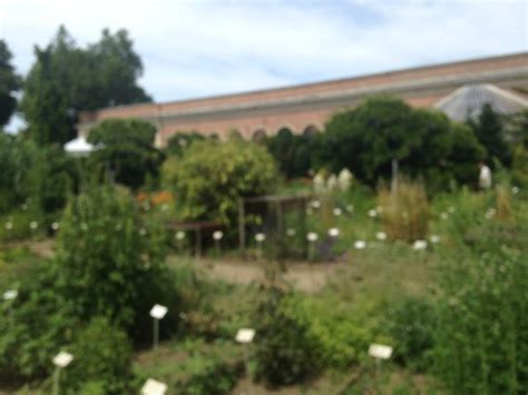 Botanical Garden Kruidtuin Leuven Belgium Top Tips Before You Go
