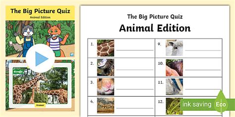 Animal Picture Quiz With Answers Printable Animal Quiz