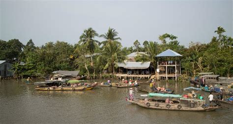 Daluo River One Tree Forest China Myanmar Border