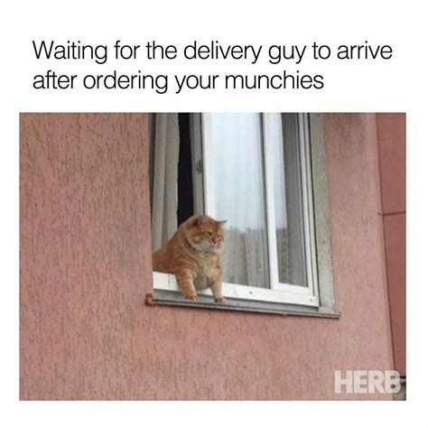 √ Waiting For Package Meme