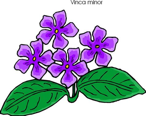 Free Clip Art Flower Clipart Library Clip Art Library