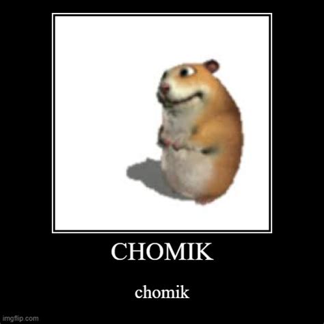 Chomik Imgflip
