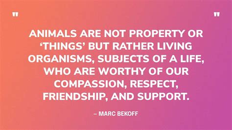 92 Best Quotes About Animal Rights — To Help Fight Cruelty