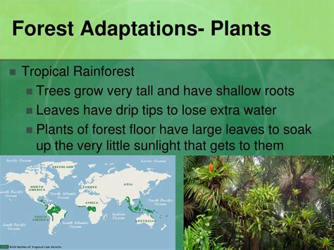 Ppt Habitats And Adaptations Powerpoint Presentation Free Download