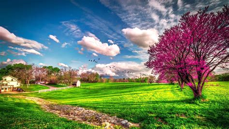 Landscape Beautiful Spring Nature Hd Wallpaper Wallpaper Download