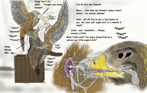 Rule 34 Avian Bird Cloaca Close Cum Domination Eagle Feral Furry Gay