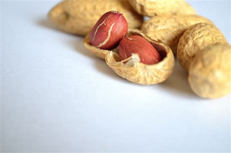 Peanut Nuts Free Stock Photo Public Domain Pictures