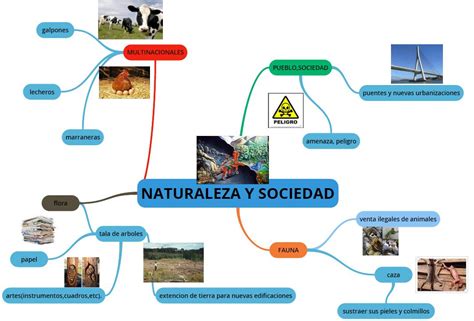 Naturaleza Y Sociedad Mapa Conceptual