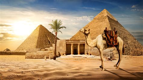 Fondos De Pantalla 3840x2160 Egipto Desierto Camellos Cairo Pirámide