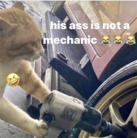 Photo His As Is Not A Mechanic Rob Pelinka Cat Meme