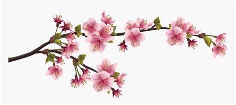 Cherry Blossom Branch Png Png Download Chinese Flowers Png