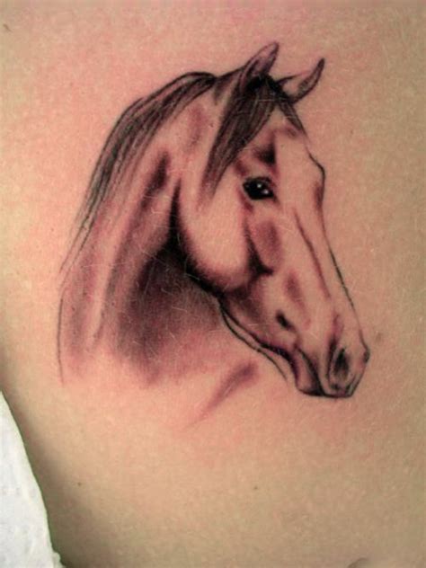 Horse Tattoos Tattoo Design