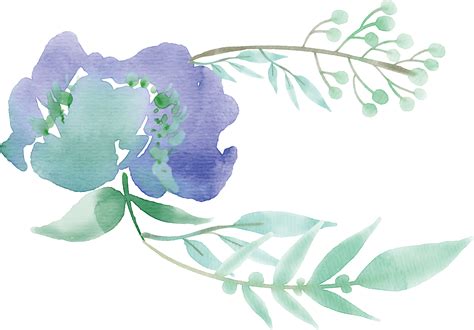 The Best Free Transparent Watercolor Images Download From 281 Free