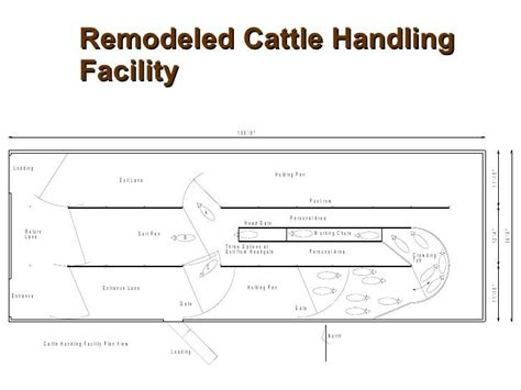 Beef Cattle Working Facility Designs Joy Studio Design Gallery Best