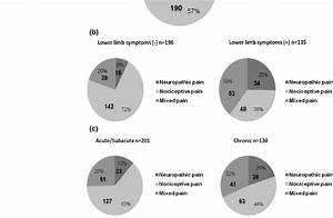 The Percentage Of Neuropathic Nociceptive And Mixed 