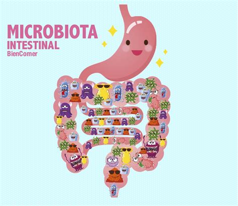 ¿flora O Microbiota Intestinal — Bien Comer