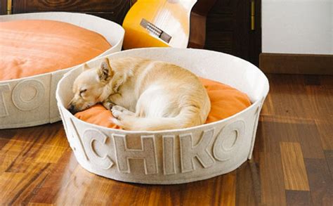 12 Beautiful Dog Beds That Will Instantly Enhance Your Homes Decor