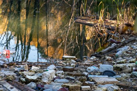 Premium Photo Garbage Dump In Pond City Dump On The Territory Of The