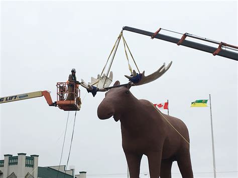 Canada recovers 'World's Biggest Moose' title - RCI | English