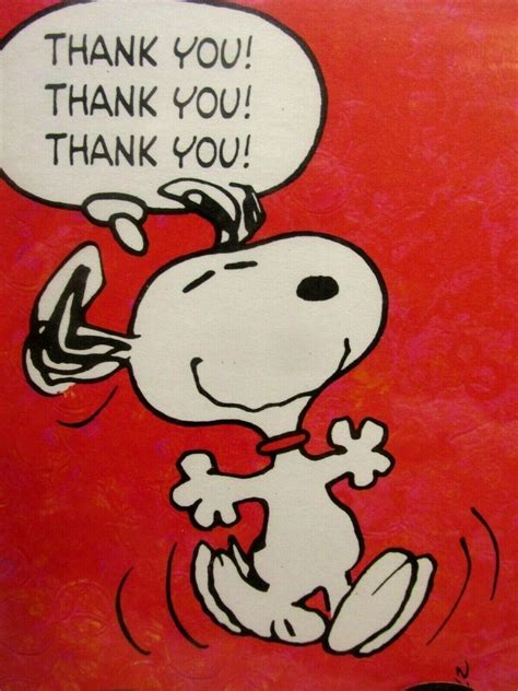 Peanuts Snoopy Thank You Cards Notes Blank Inside Set Of 9 W Env