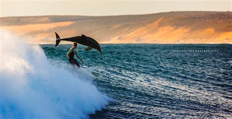 Surfing In Western Australia The Best Surf Spots Perth Girl