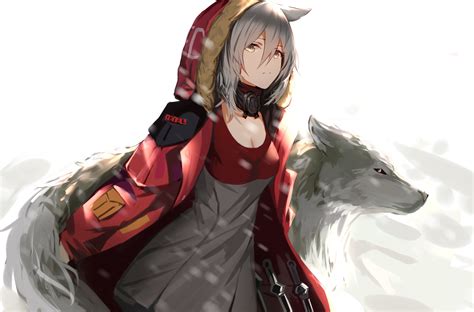 4k Anime Wolf Girl Wallpapers Wallpaper Cave