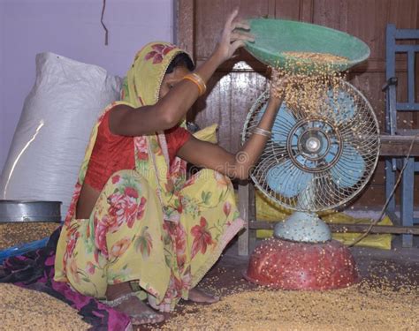 Rural Indian Women Cleaning Grain At Home Editorial Photo Image Of