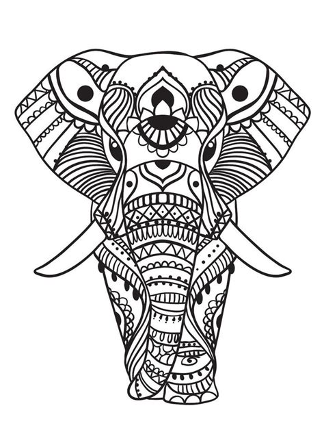 images  elephant coloring pages  adults  pinterest animals coloring