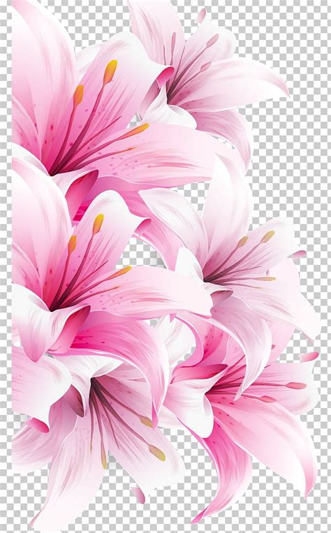 Lilium Bulbiferum Easter Lily Arum Lily Desktop Flower PNG Clipart