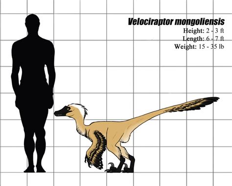 Geoscienze Velociraptor Mongoliensies