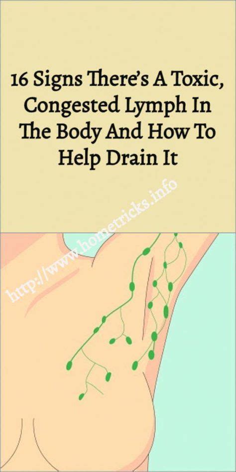 16 Signs Theres A Toxic Congested Lymph In The Body And How To Help