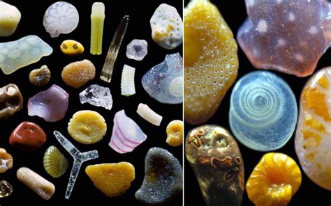 Il Prend Des Grains De Sable En Photo Au Microscope Et Cest étonnant Microscopes Sablés