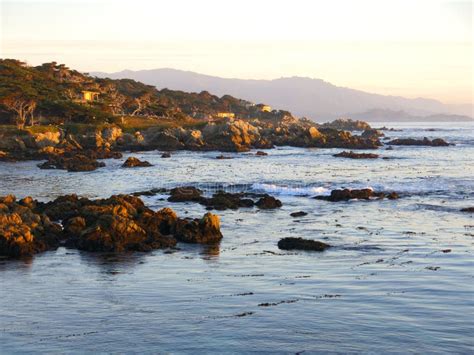 18504 Monterey Stock Photos Free And Royalty Free Stock Photos From