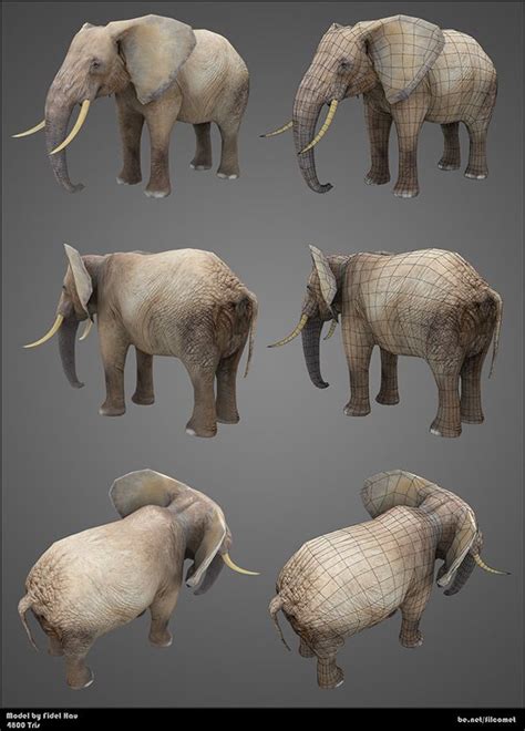 3d Elephant On Behance Elephant Drawing Elephant Artwork