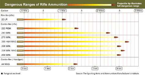 Ammo And Gun Collector Rifle Caliber And Shotgun Load Dangerous Range