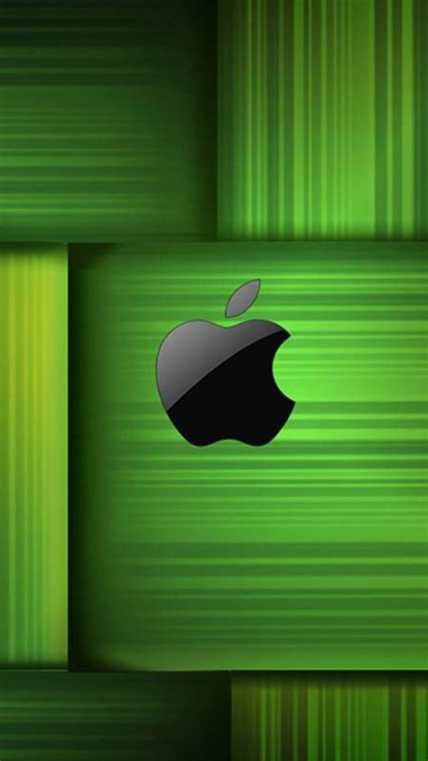 Discover More Than 78 Green Iphone 13 Wallpaper Best Incdgdbentre