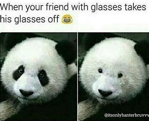 50 memes about wearing glasses that will make you laugh until your eyes water