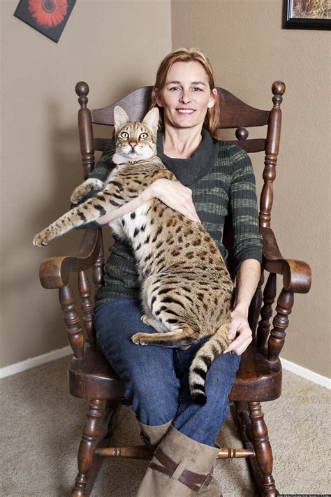 You'll receive email and feed alerts when new items arrive. Guinness World Records 2013 Honorees Include Tallest Cat ...
