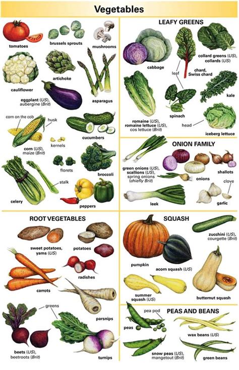 There are estimated to be at least 25,000 idiomatic expressions in the english language. Vegetables Vocabulary in English - ESLBuzz Learning English