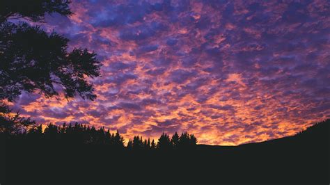 Download Wallpaper 2560x1440 Clouds Trees Sunset Porous Evening
