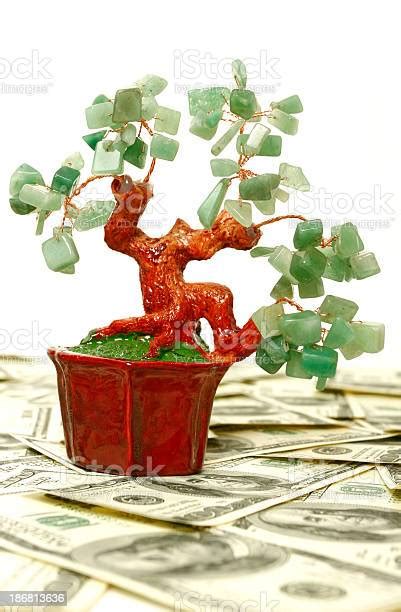 Tree Of Wealth Stock Photo Download Image Now Istock