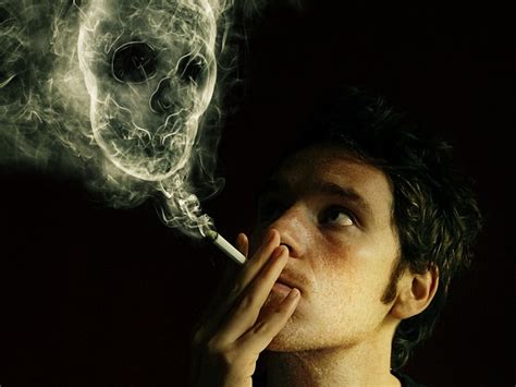Bahaya Merokok Bagi Tubuh Kita Yang Tidak Bisa Di Abaikan Jendela