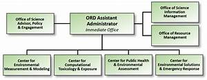 Organization Chart For The Office Of Research And Development Ord