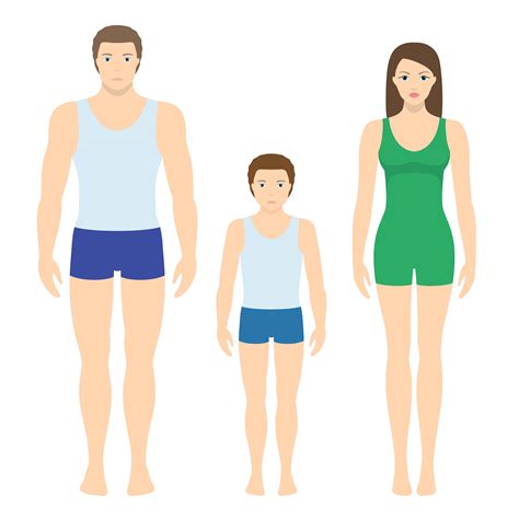 Vector Illustration Of Man Woman And Child Body Proportions Of Human