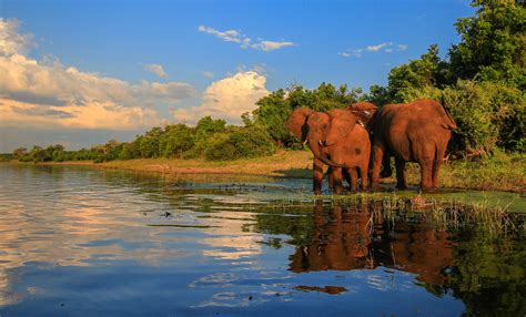 Frequent Extreme Weather Is Destroying Valuable River Ecosystems