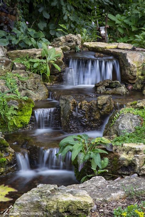 Waterfalls The Perfect Abode For Moss Artofit