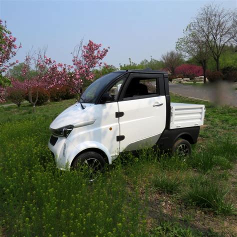 Mini L6e Type 1 Seater Electric Cargo Delivery Van China Electric